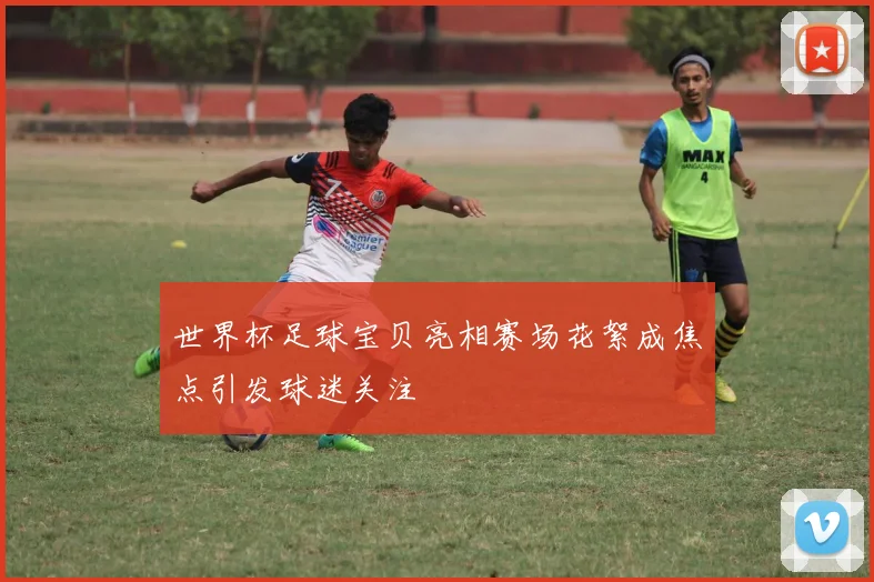 世界杯足球宝贝亮相赛场花絮成焦点引发球迷关注