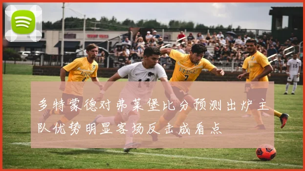 多特蒙德对弗莱堡比分预测出炉主队优势明显客场反击成看点