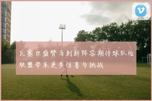 瓦塞尔盛赞马刺新阵容期待球队给联盟带来更多惊喜与挑战